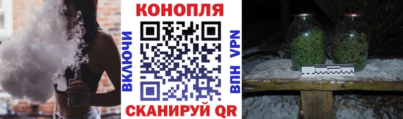 Магазины продажи наркотиков Курчатов Псилоцибиновые грибы  Меф мяу мяу  ГАШИШ  Cocaine 