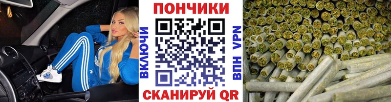 Бошки марихуана тримм OMG вход Курчатов как найти наркотики